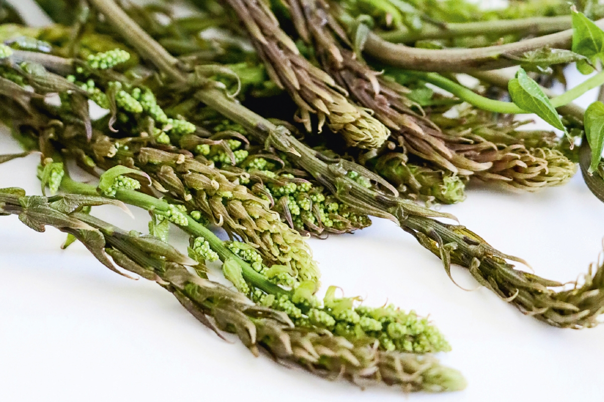 Giritlilerin Antalya Mutfağına Katkıları